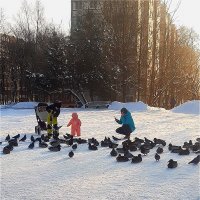 Дружная семья! :: Нина Андронова