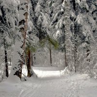 А за городом зима, зима, зима! :: Татьяна Помогалова