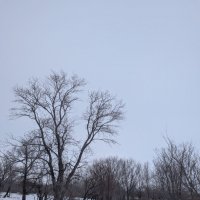 Месяц до весны... :: Андрей Хлопонин