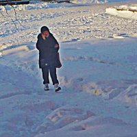 Эх,и в мороз поговорю-ка с подругой по сотовому! :: Владимир 