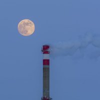 полная взошла :: Виталий Емельянов