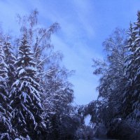 Красота зимы :: Людмила Смородинская