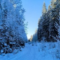 Путь в царство Берендея. :: Ольга 