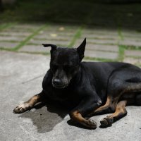 Устал :: Dmitry i Mary S