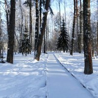 Зима в феврале. :: Милешкин Владимир Алексеевич 