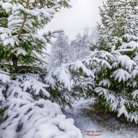 Припорошило :: Евгений 