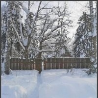 Дачные зарисовки :: Ольга Довженко