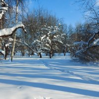 *** :: Владимир Безбородов