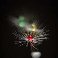 Светофор :: Игорь Шевченко