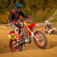 * :: Макс Борода