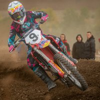 * :: Макс Борода