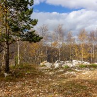 Осеннее. :: ирина )))