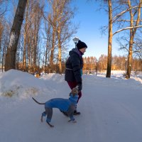 Прогулки в Зимнем Парке :: юрий поляков