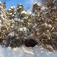 Проход к участку :: Андрей Снегерёв