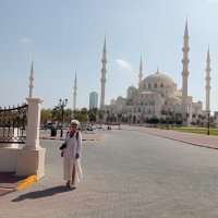 Мечеть шейха Зайеда :: Галина Ильясова