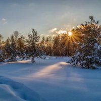 Январский вечер 4 :: Андрей Дворников