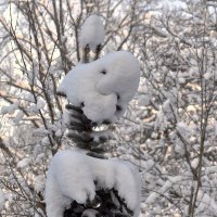 Зима нарядила в зайчика. :: Татьяна Помогалова