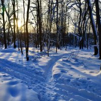 Зима в Москве :: Андрей Лукьянов