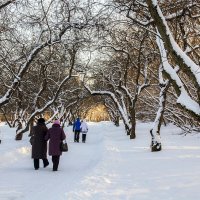 Коломенское. :: Петр Беляков