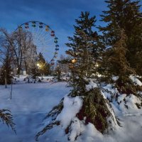 В зимнем парке :: Валерий Ткаченко