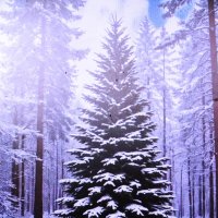 Лесная красавица :: Людмила Смородинская