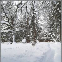 Дорожка к дому. :: Ольга Довженко