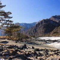 Март в горах Алтая :: елена беликова