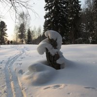 Досмотр :: Galaelina ***