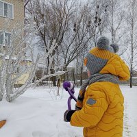 Лепка снеголепкой :: Юлия Денискина