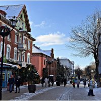 Прогулка по Зеленоградску. :: Валерия Комова