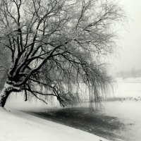 Морозно! :: Сергей Карачин