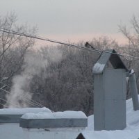 Называется Жизнь :: олег свирский 