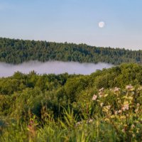 Ранее утро, туманная прохлада над рекой Ухта и полная Луна :: Николай Зиновьев