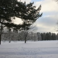 Парк Александрия :: Наталья Герасимова