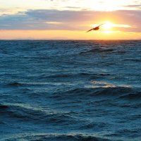 Атлантика :: В.И 