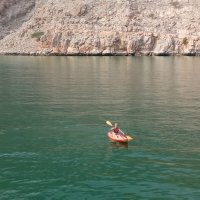 В водах Оманского залива :: Галина Ильясова