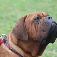 Важный :: Дмитрий П