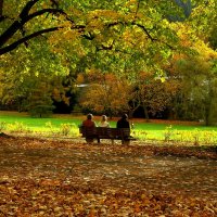 Любуясь осенью :: Юрий. Шмаков