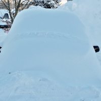 Ушастый сугроб :: Светлана 