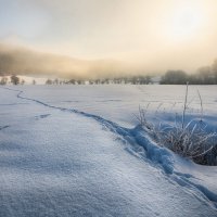 Вдут следы куда-то в даль. :: Olga Ger Вдут следы куда-то в даль. :: Olga Ger