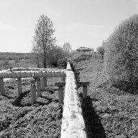 Фотография :: Денис Безногов