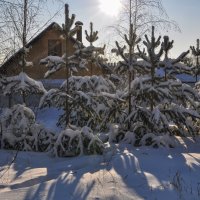 Солнечный зимний день :: Татьяна Машошина