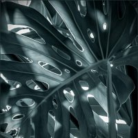 Орнаментально-растительное :: Наталья Rosenwasser