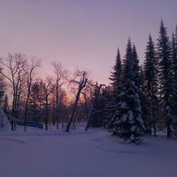 Рассвет :: Сапсан 