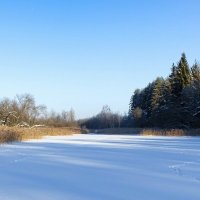 Зимний пейзаж. :: Милешкин Владимир Алексеевич 