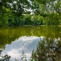Тенистый пруд :: Владимир Лазарев