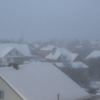 Туман и мороз. :: Петр Беляков