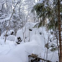 куча мала :: Владимир 