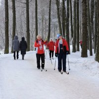 Хорошо на лыжах зимой :: Мария Васильева