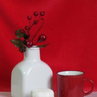 Красное и белое... :: Татьяна Гнездилова